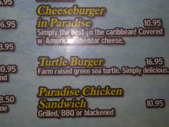 Yes, I ate a turtle burger