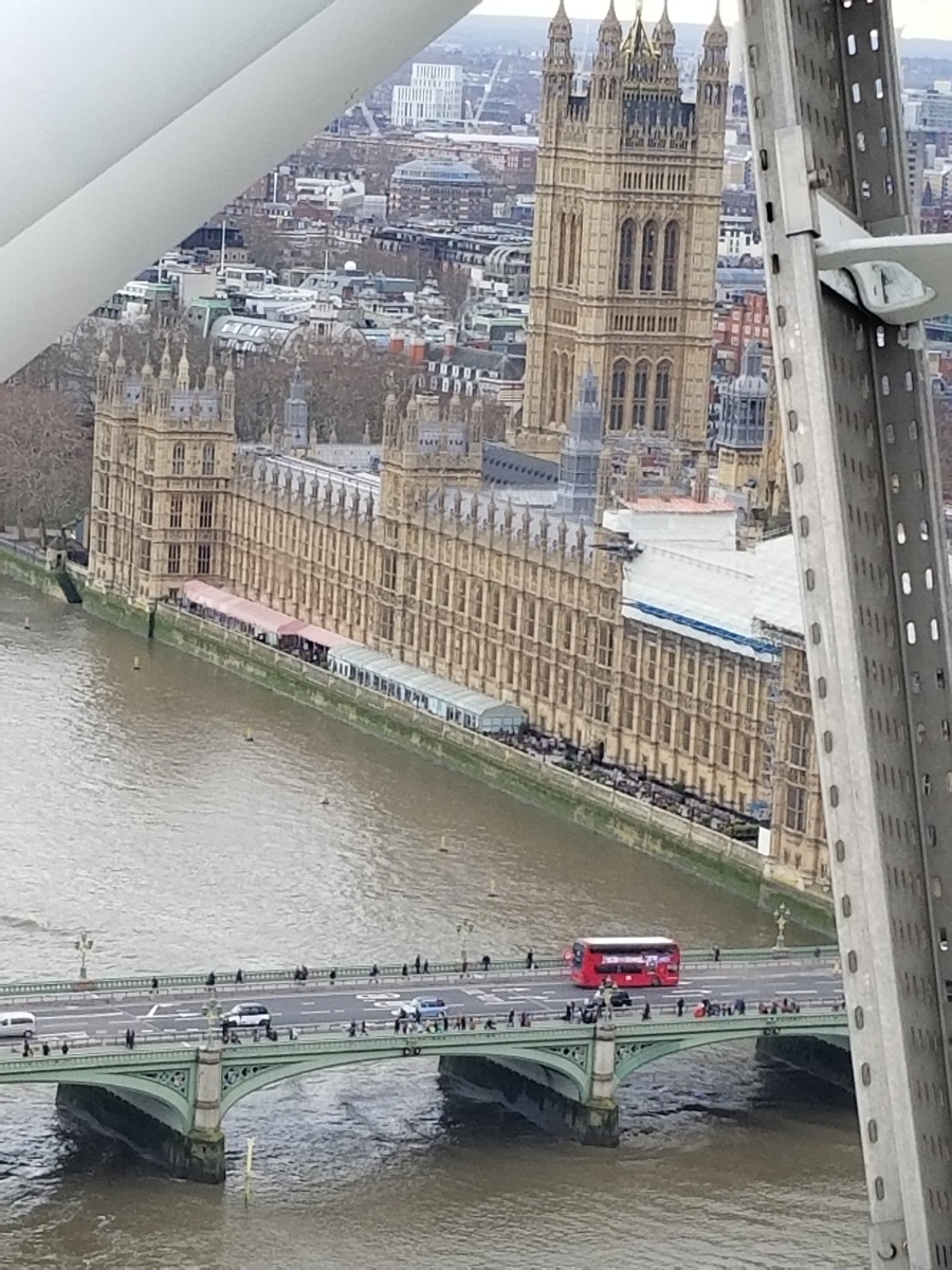 Houses of Parliament viewed from the London Eye. Photo by Anastasia Mills Healy.
