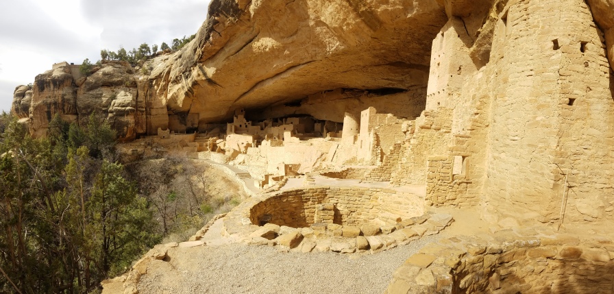 Cliff Palace, Mesa Verde. Photo by Steven Healy